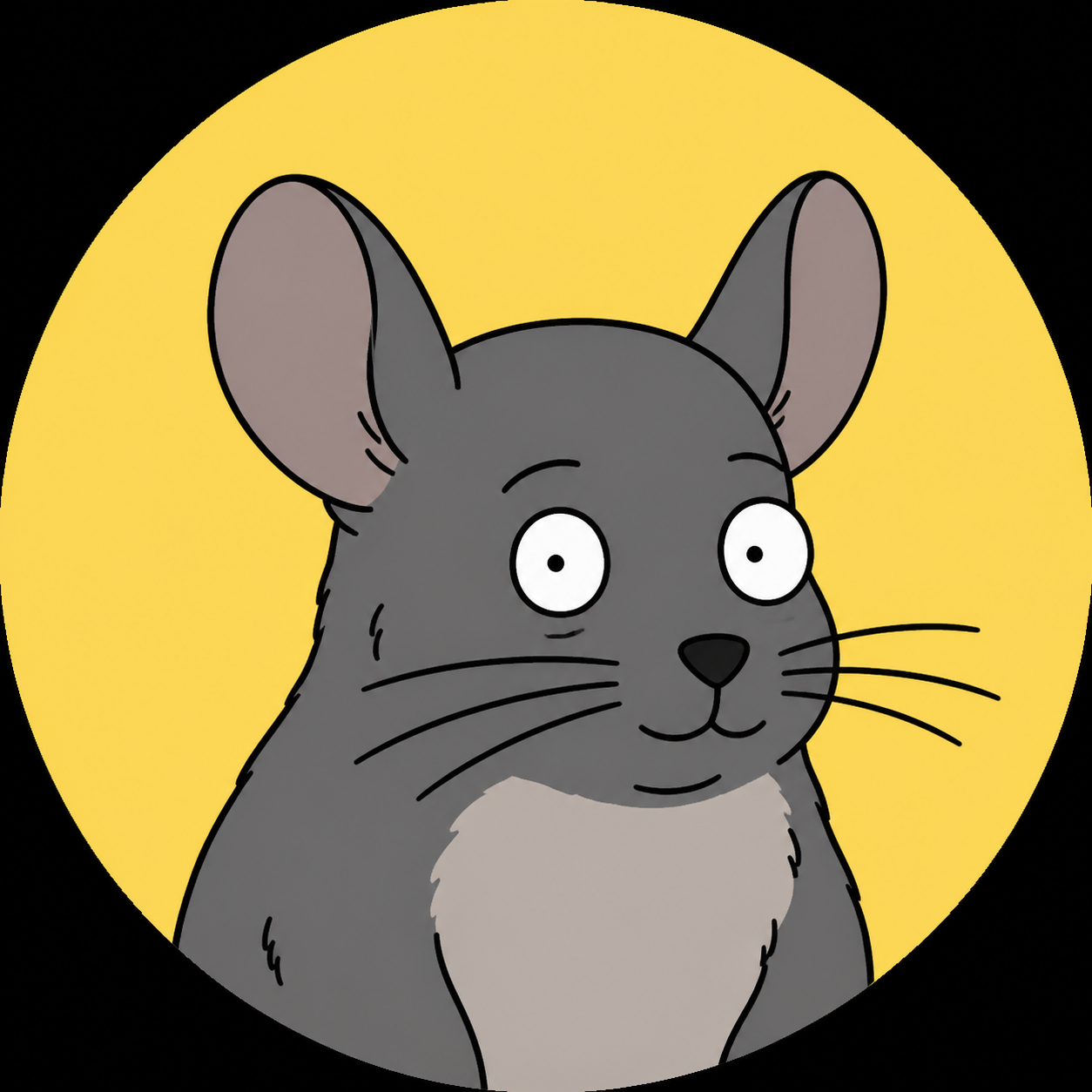 chinchilla avatar