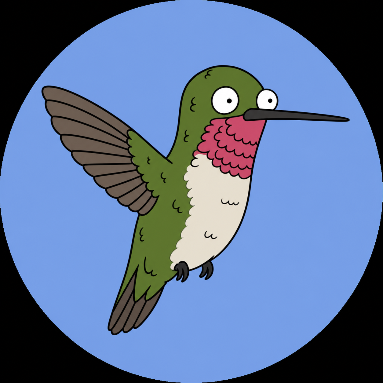 hummingbird avatar