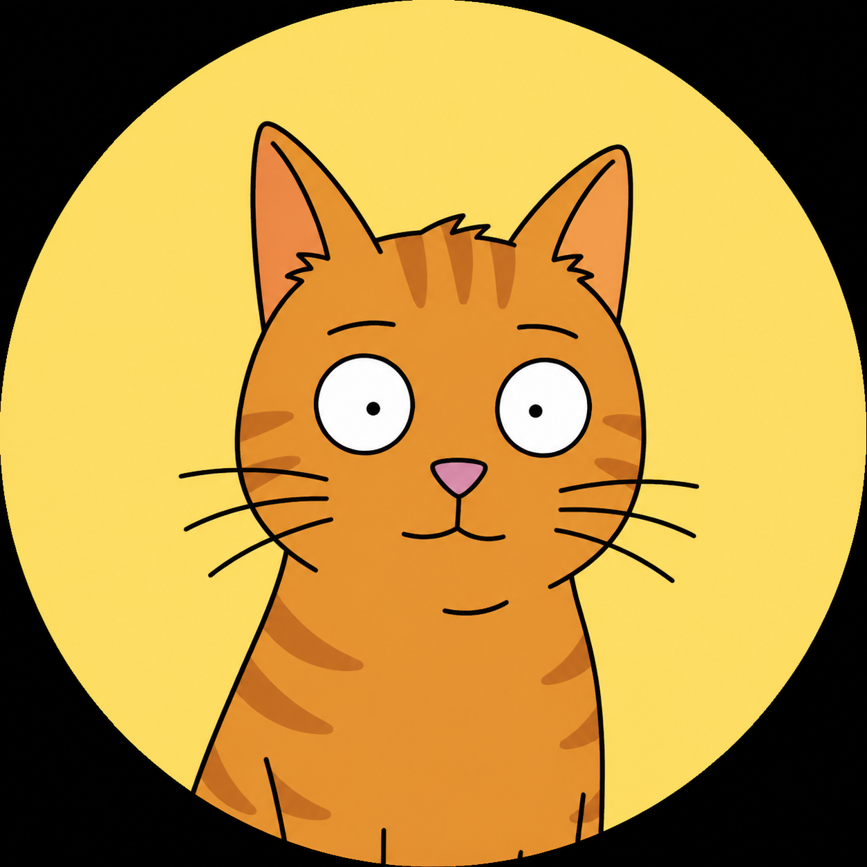 orange tabby cat avatar