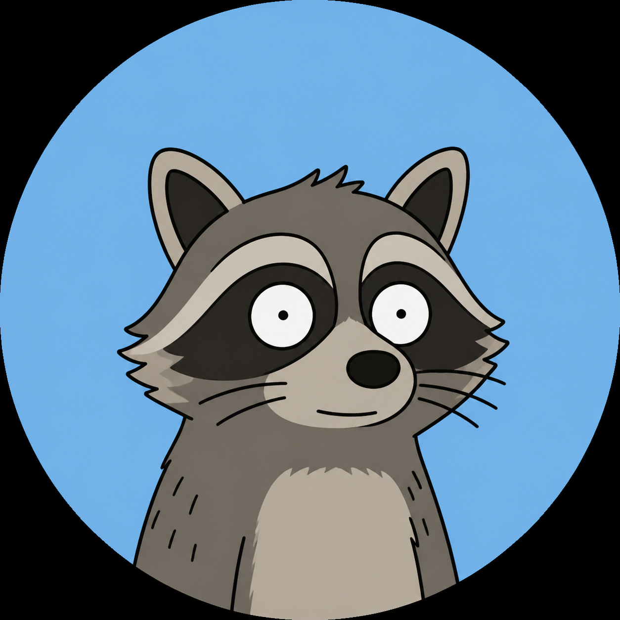 raccoon avatar
