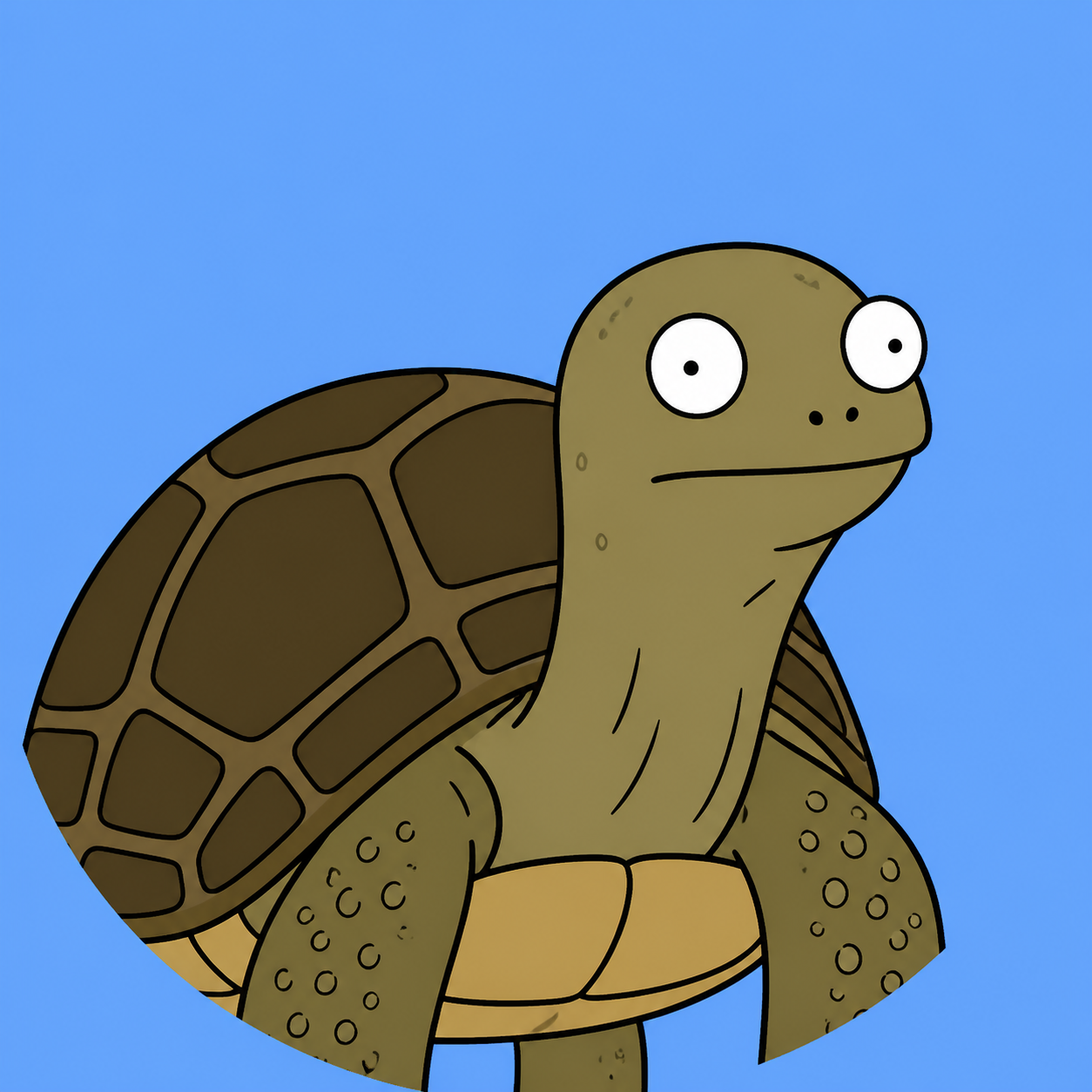 tortoise avatar