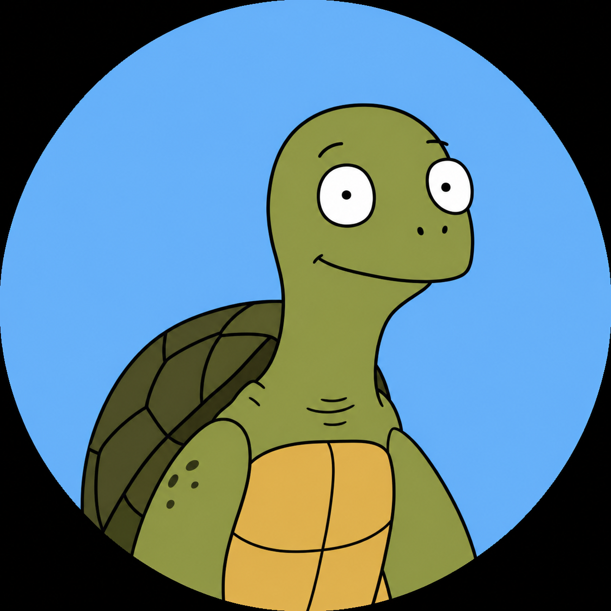 turtle avatar